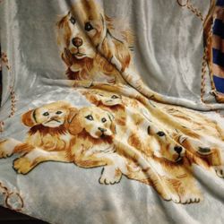 San Marcos In Blanket 