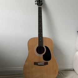 Maestro By Gibson  Acoustic Guitar