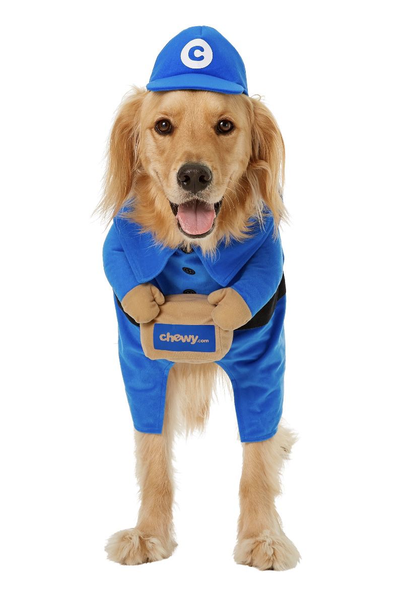 Delivery Courier Halloween Dog Costume (XXL)