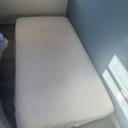 FREE Twin Mattress 