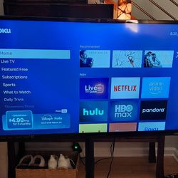 Vizio 42" tv