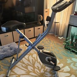 Exercise Bike Exerpeutic
