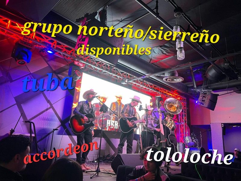 Guitarras Acordeon Tuba Tololoche Norteño