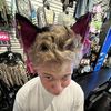 Luke young 