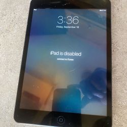 iPad 