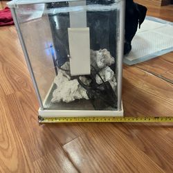 Small Fluval Desktop Fish Tank