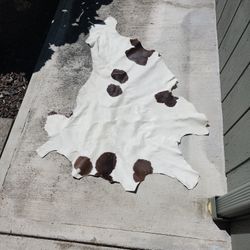 Cow Skin 