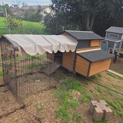 Small Chicken Coop