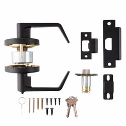 BRINKS COMMERCIAL Heavy Duty Commercial Lever Matte Black