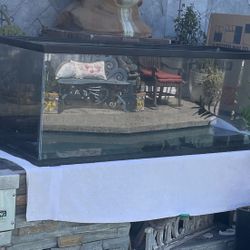 50 Gallon Fish Tank 