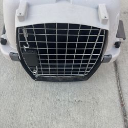 PET carrier