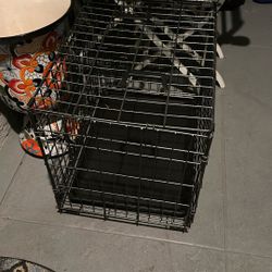 Used But Really Good Condition 