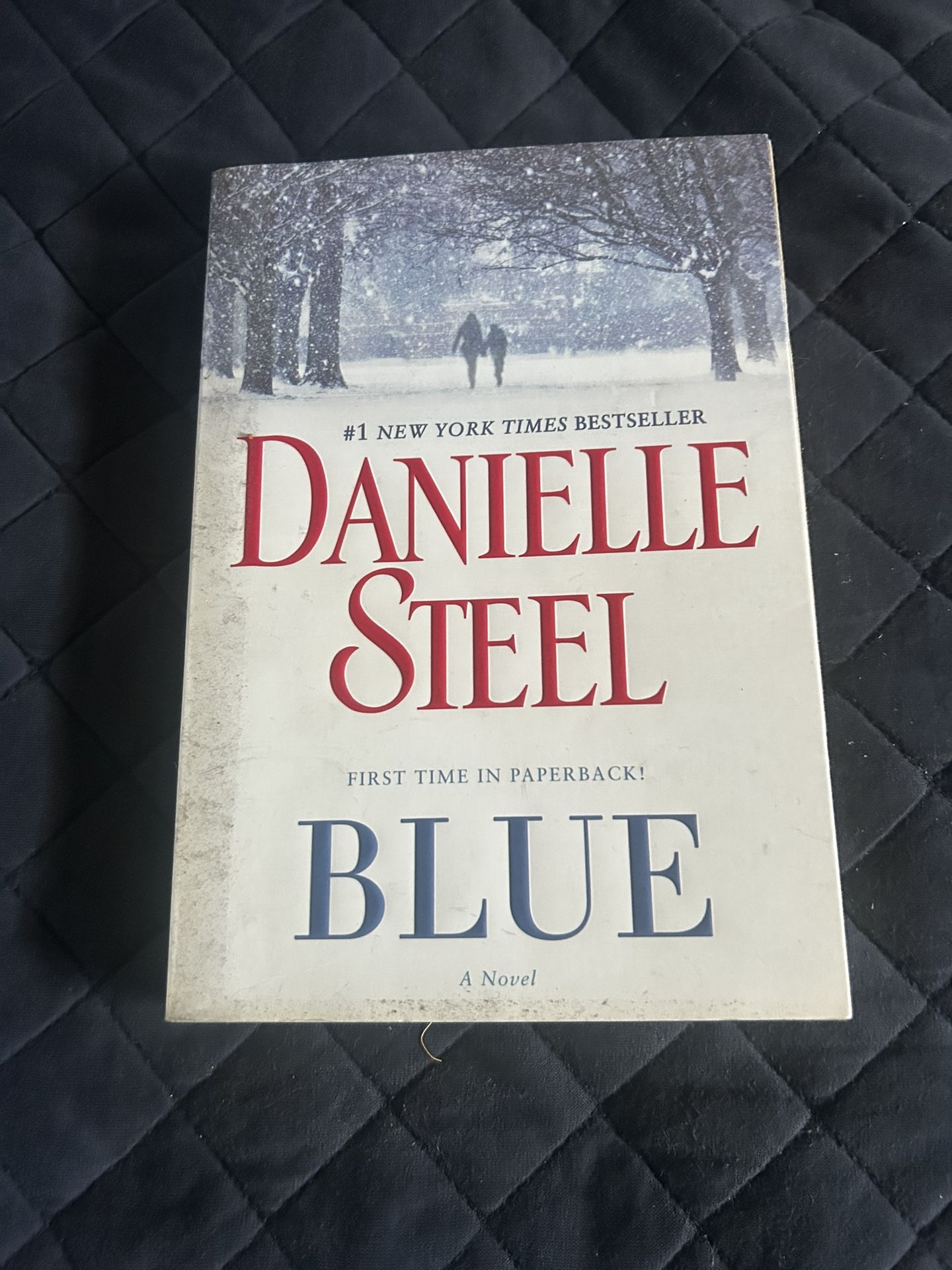 Danielle Steel First Time In Paperback! Blue