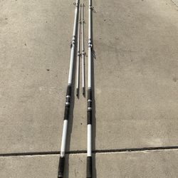 Surf Fishing Rod