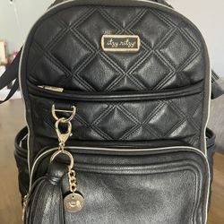 Itzy Ritzy Large Diaper Bag 