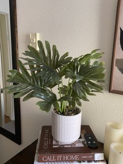 Faux Plant