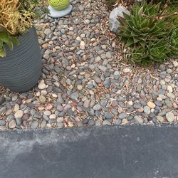 Rock Garden Decorative
