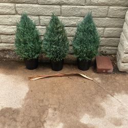 Ikea Tree Decor 
