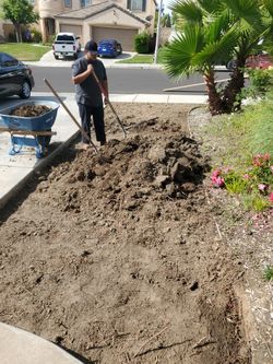 Free Dirt