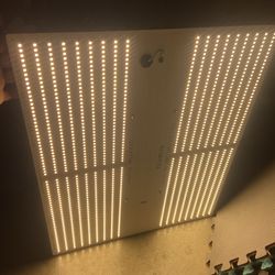 HLG 550 V2 ECO Quantum Board LED Grow Light