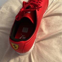 Puma And Ferrari