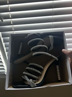 These Are Wild Divas They Size 10 