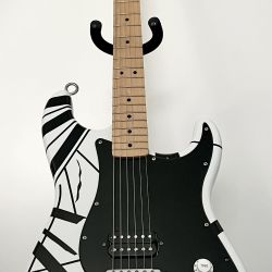 Custom Built VH1 Guitar