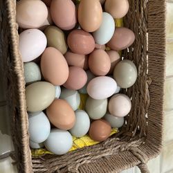 100% Organic Fresh Eggs