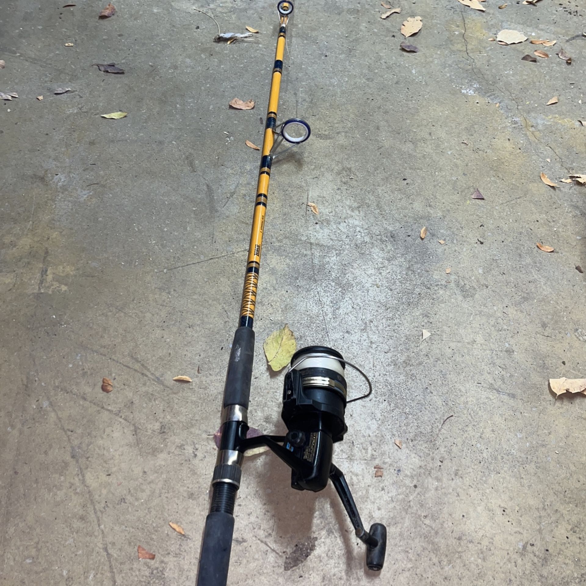 Fishing Pole 