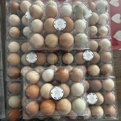 Fresh Farm Eggs