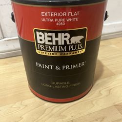 1 Gallon Premium Ultra Paint Exterior Flat ( Gray)