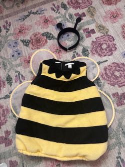 12-24 month baby pottery barn bee costume
