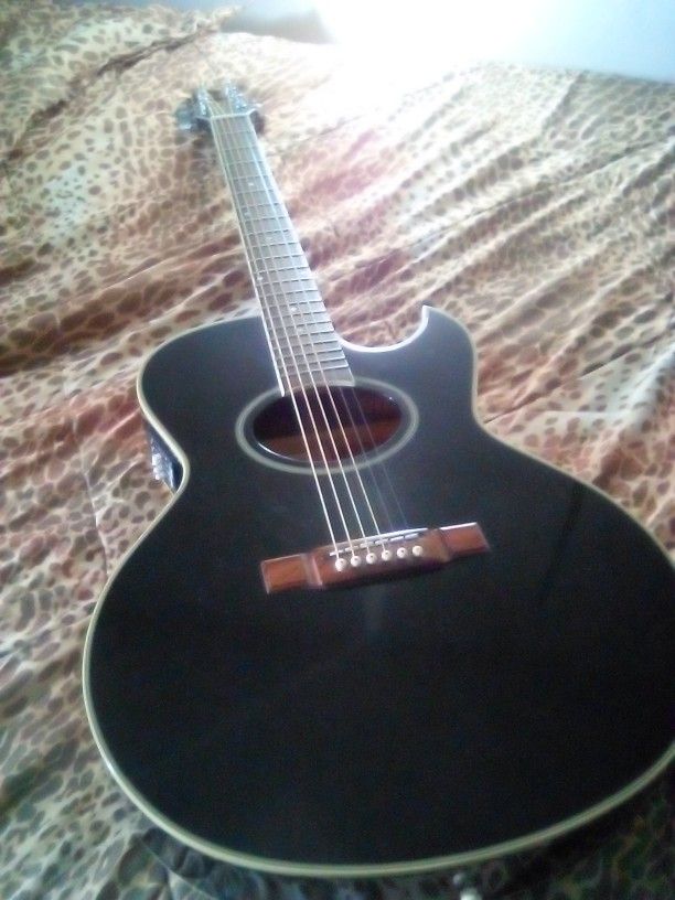 George Washburn Festival Series Guitar 