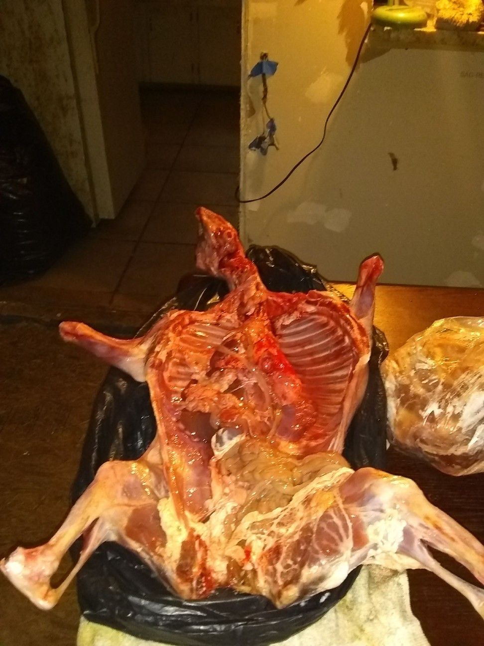 Cabrito