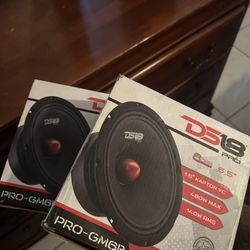 Ds18  Speakers
