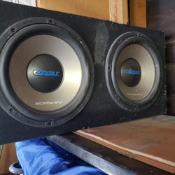 Orion 12" speakers