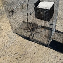 Cage Wire