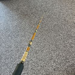 Fenwick Fishing Rod 