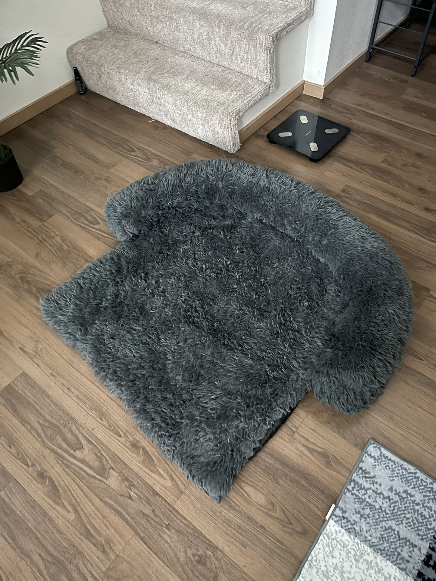 Cozy Dog Bed Slightly Used