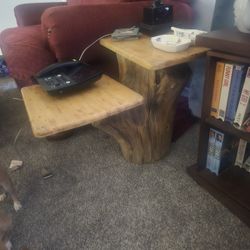 Tree Trunk End Table
