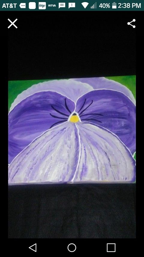 Pansy