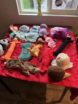Dog Toys $50 OBO