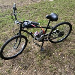 Beach Cruiser With 80cc Motor 
