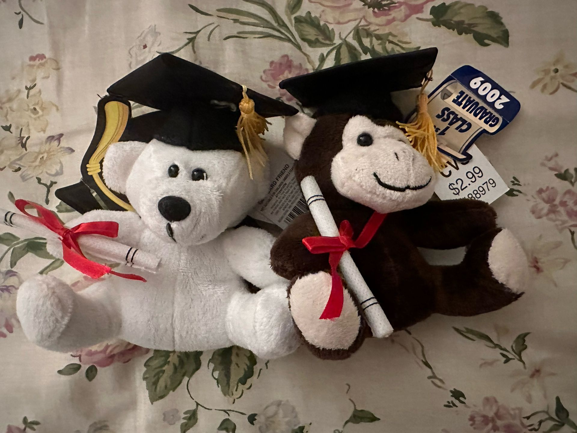 Graduation Stuffed Bear and Monkey