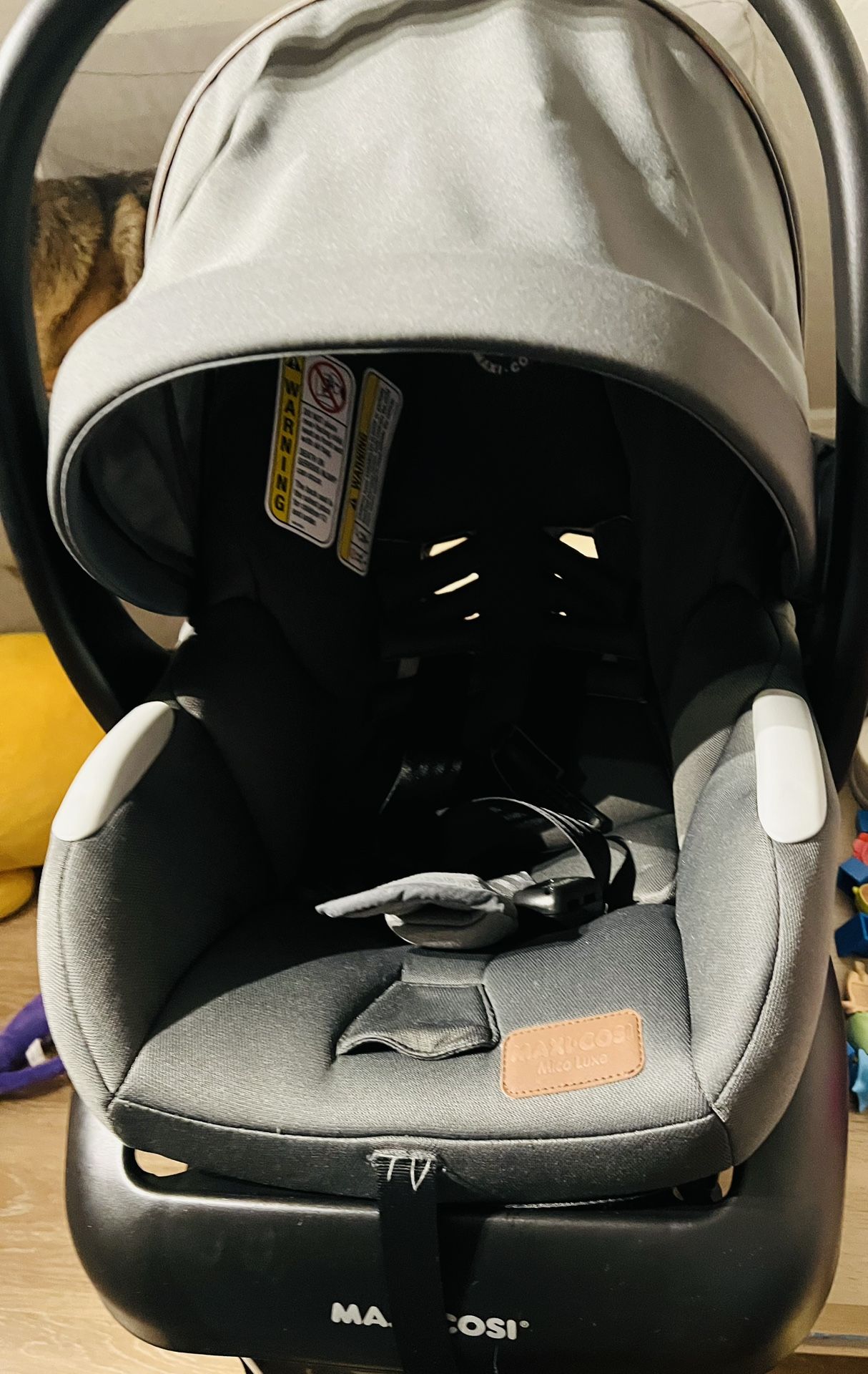 Car Seat