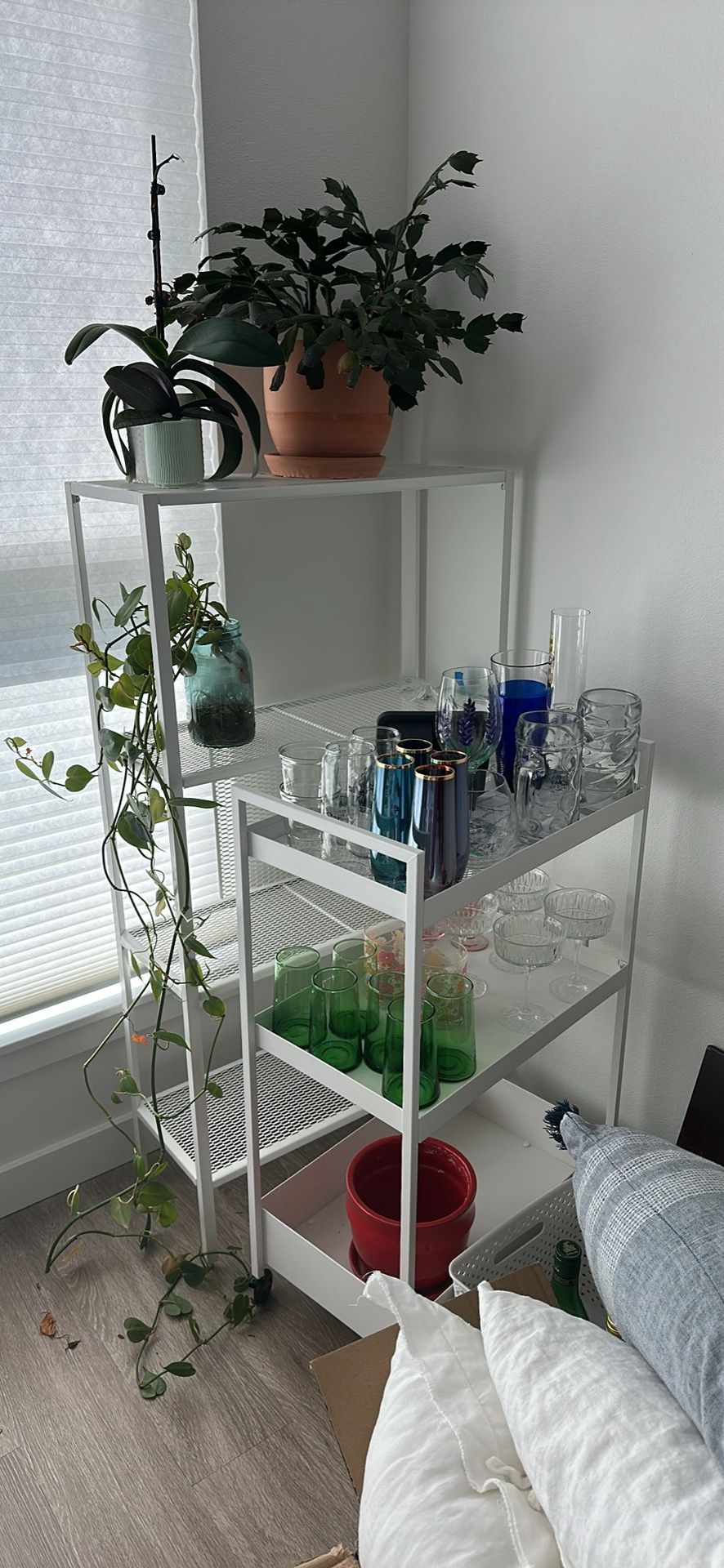 Bar Cart, Shelf, Assorted Glasses