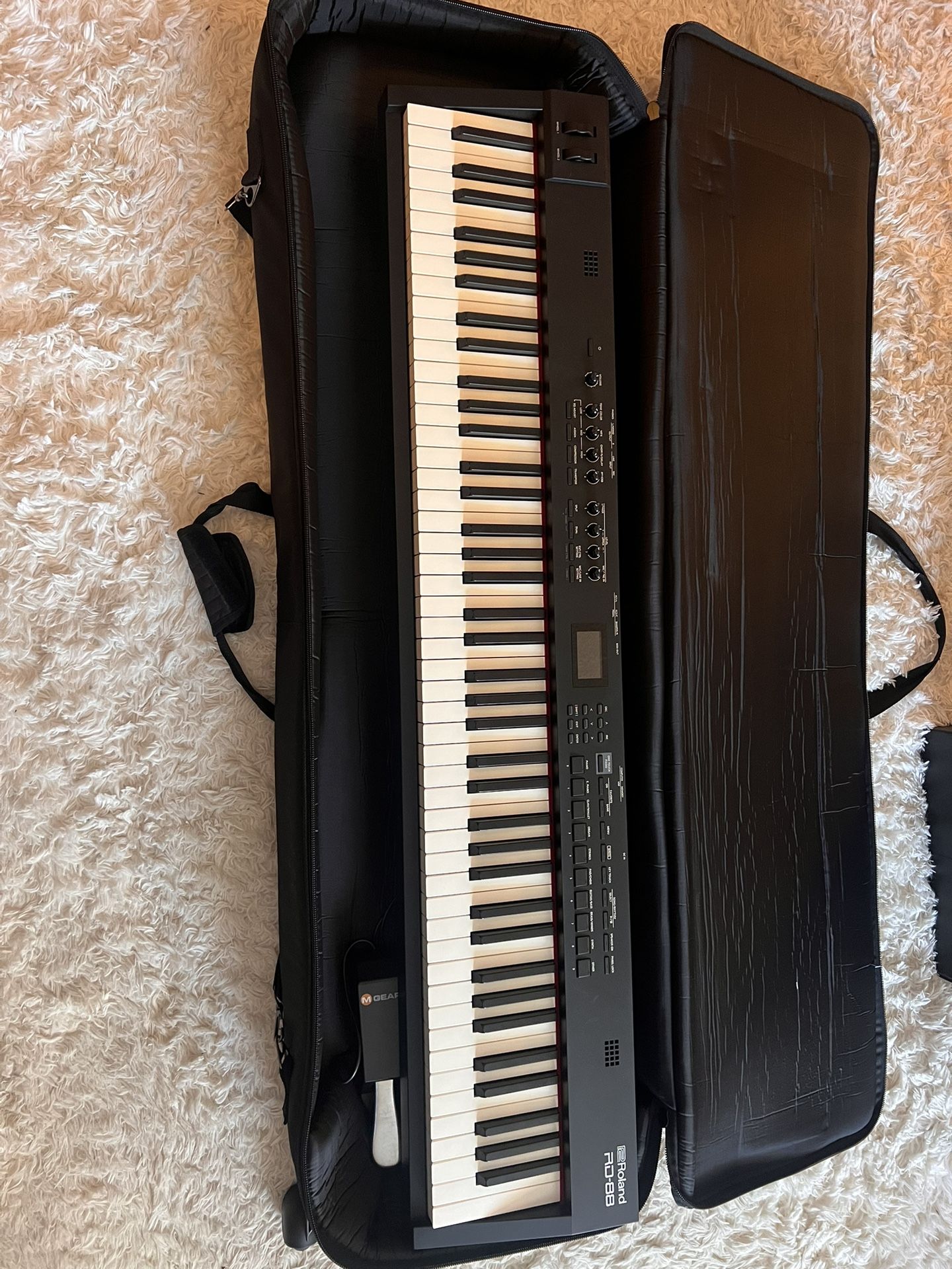 Roland RD-88-Keys Stage Piano w/Pedal, Wheeled Case, & Pwr Cord