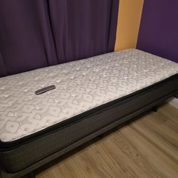 XL Twin Bed with Mobile Frame