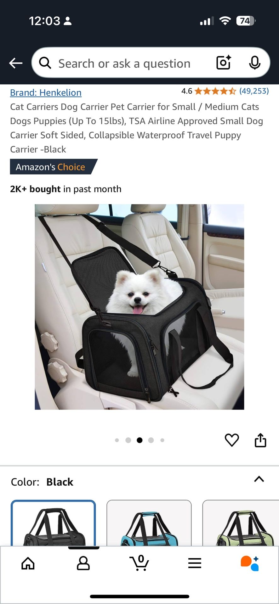 Cat or small dog carrier