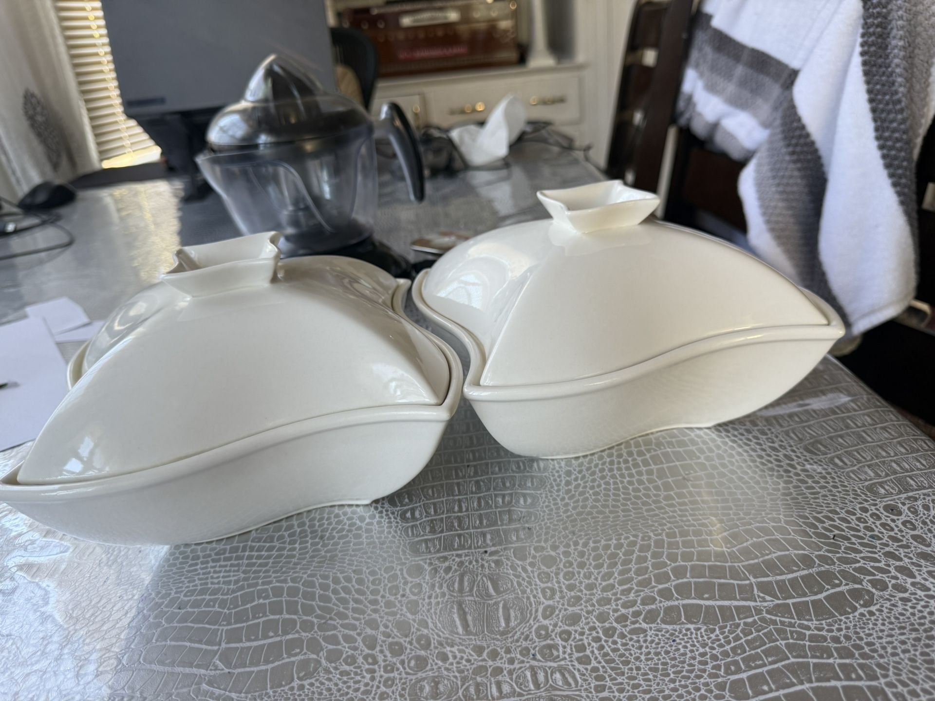 2 Pieces Dishes 